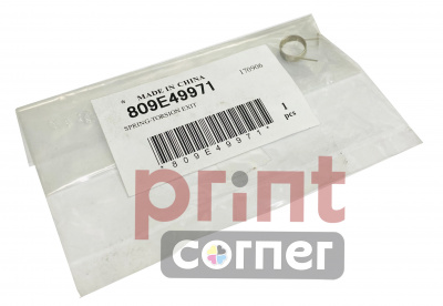 Торсионная пружина 809E49971